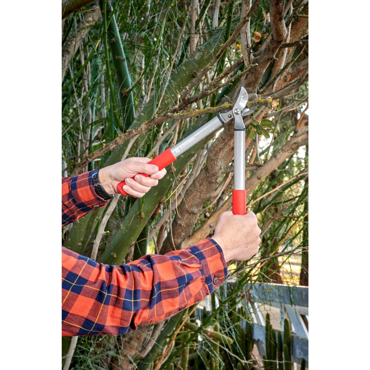 Corona BP 3225D Classiccut Two-Handed Pruner - 3/4 Inch - Image 5