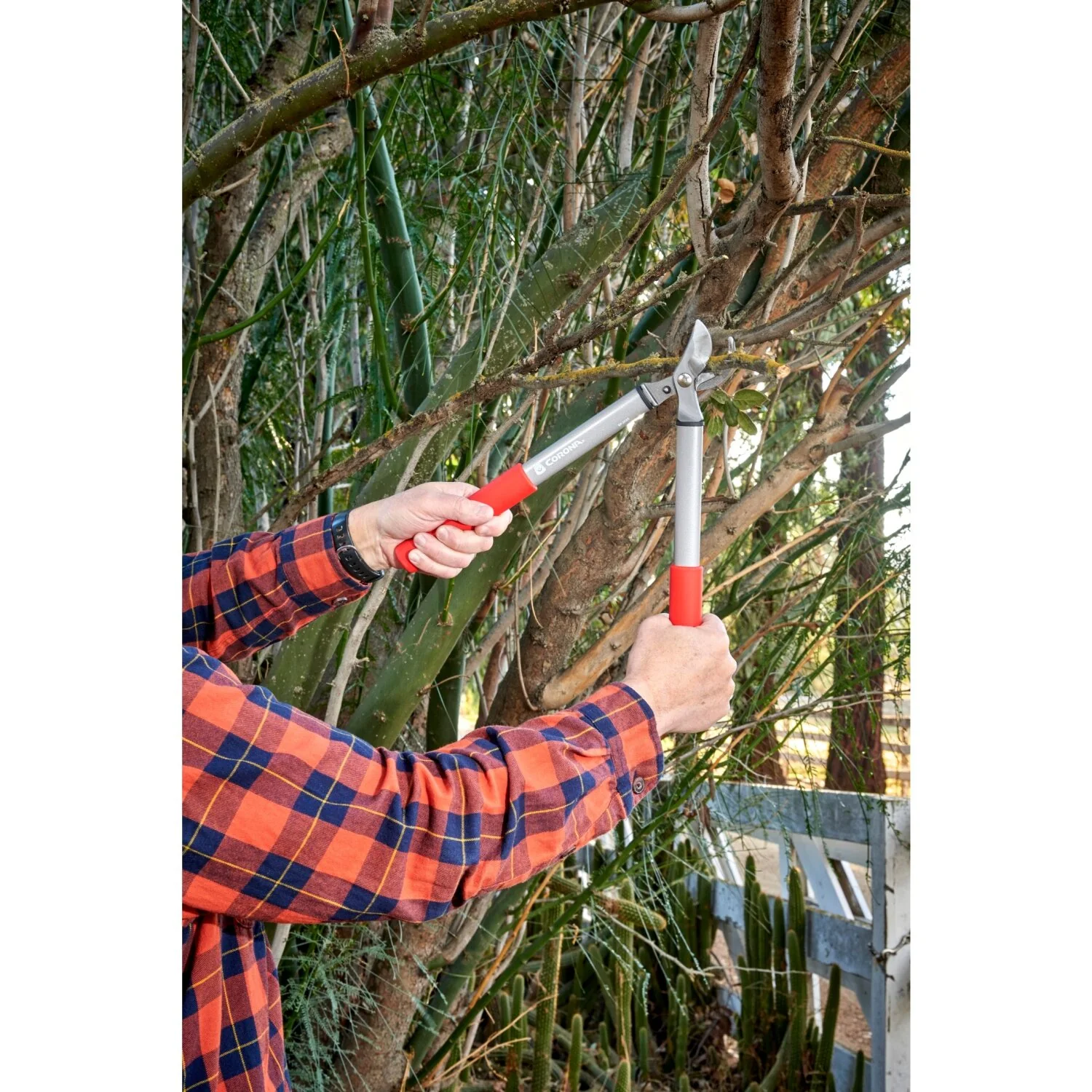 Corona BP 3225D Classiccut Two-Handed Pruner - 3/4 Inch - Image 8