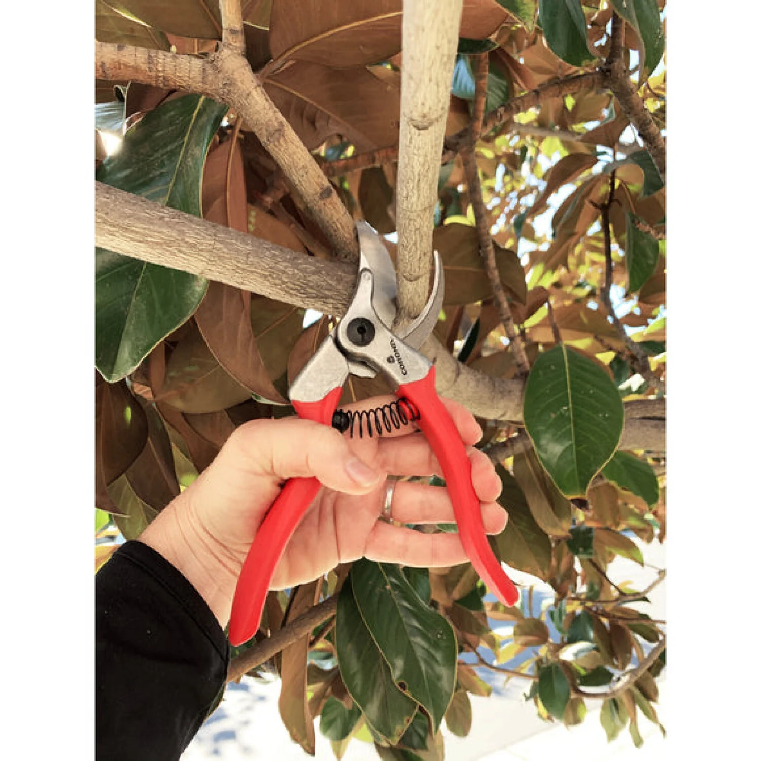 Corona BP15280 ErgoPRO Bypass Hand Pruner - 1 Inch - Image 10