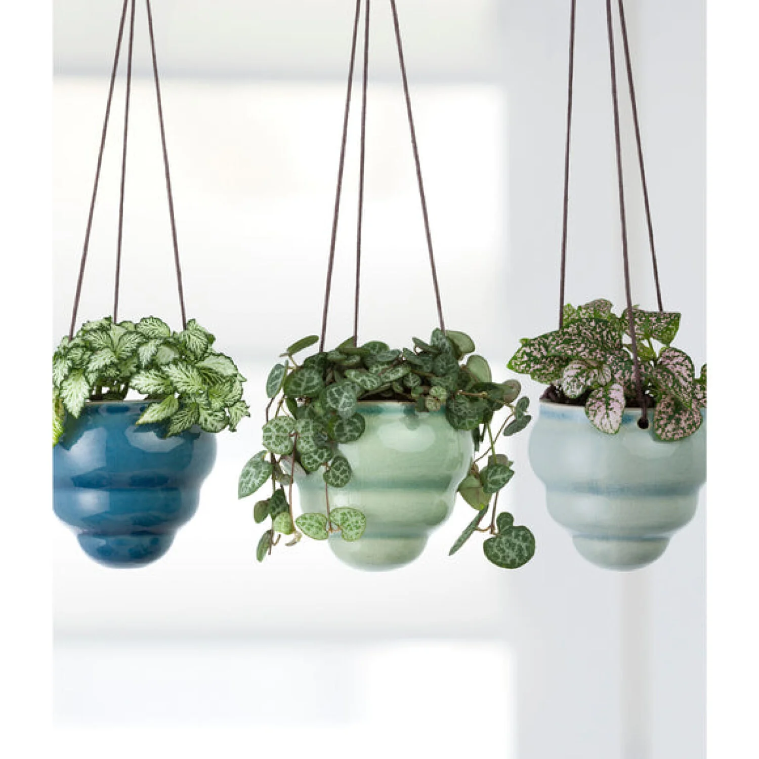 Corona GIG/HBOMTRIO  Burgon & Ball® Baby Bombini Trio Vases - Image 5