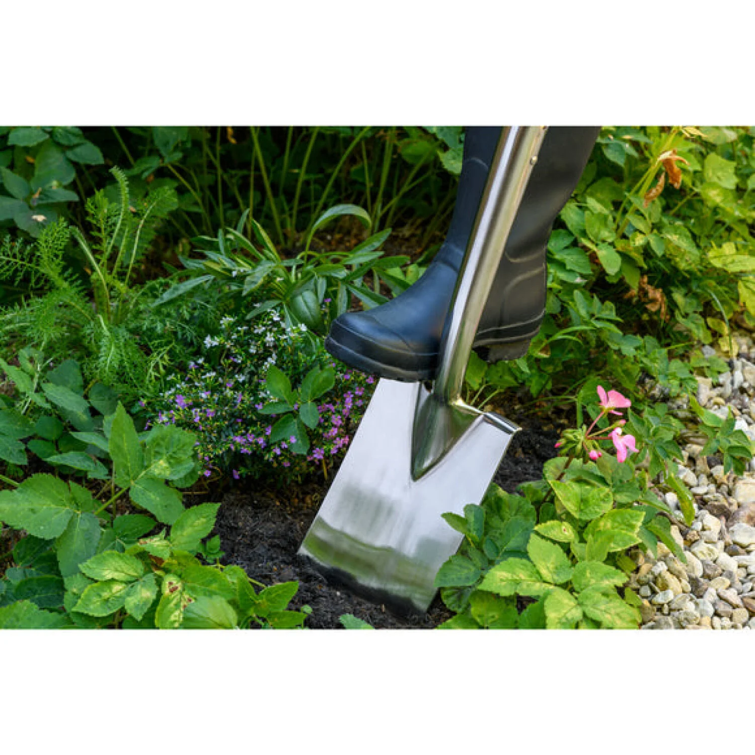 Corona GTB/SSBRHS  RHS® Stainless FSC Wood Border Spade - Image 2