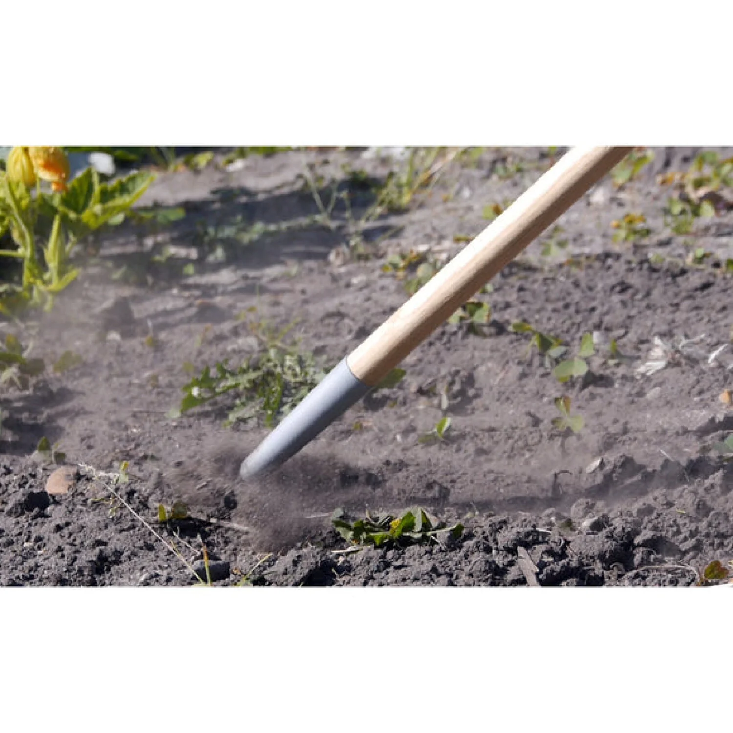 Corona GTC/SLICE Burgon & Ball® FSC Wood Weed Slice - Image 2