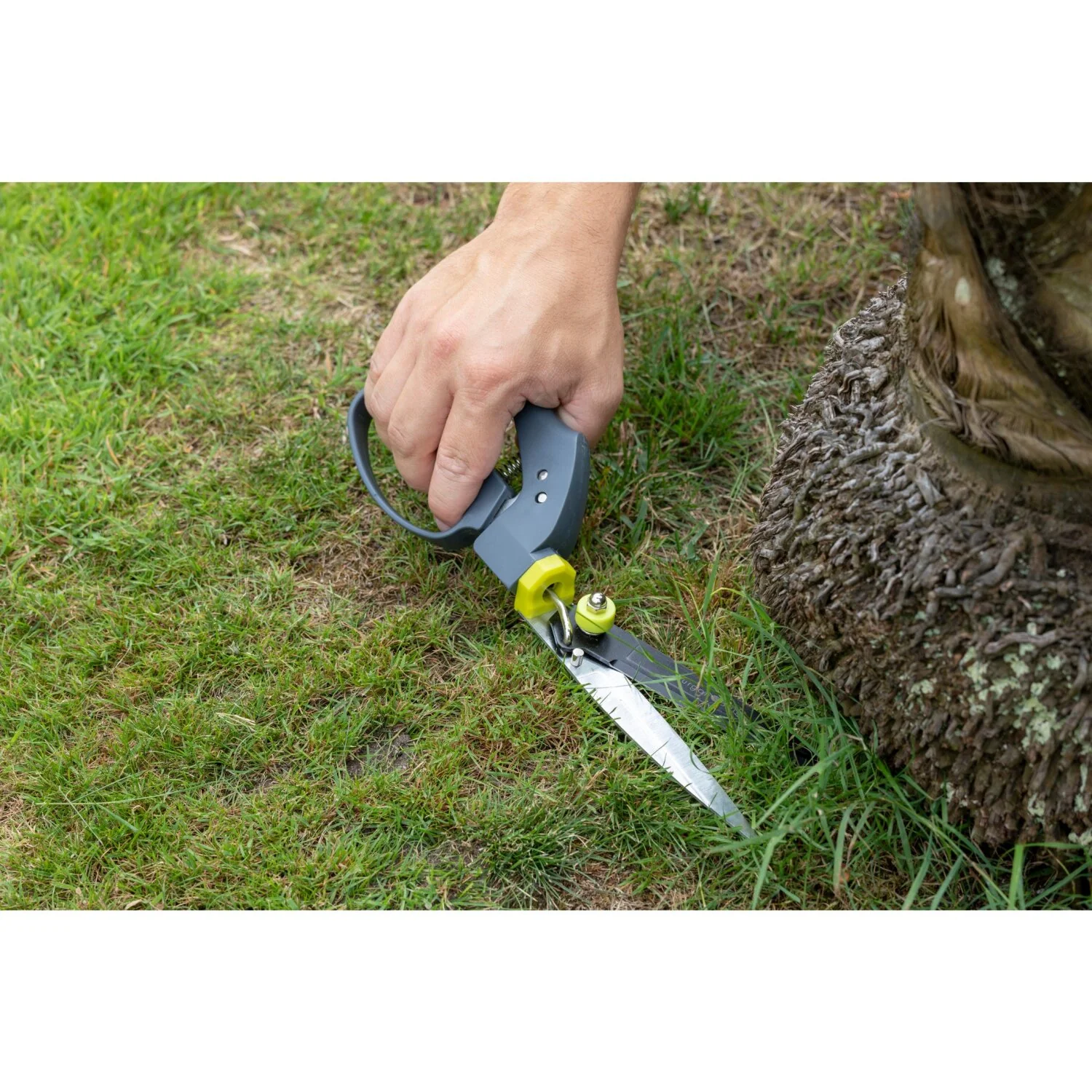 Corona GTO/SHGSHEAR Swivel Grass Shears, RHS Endorsed - Image 4