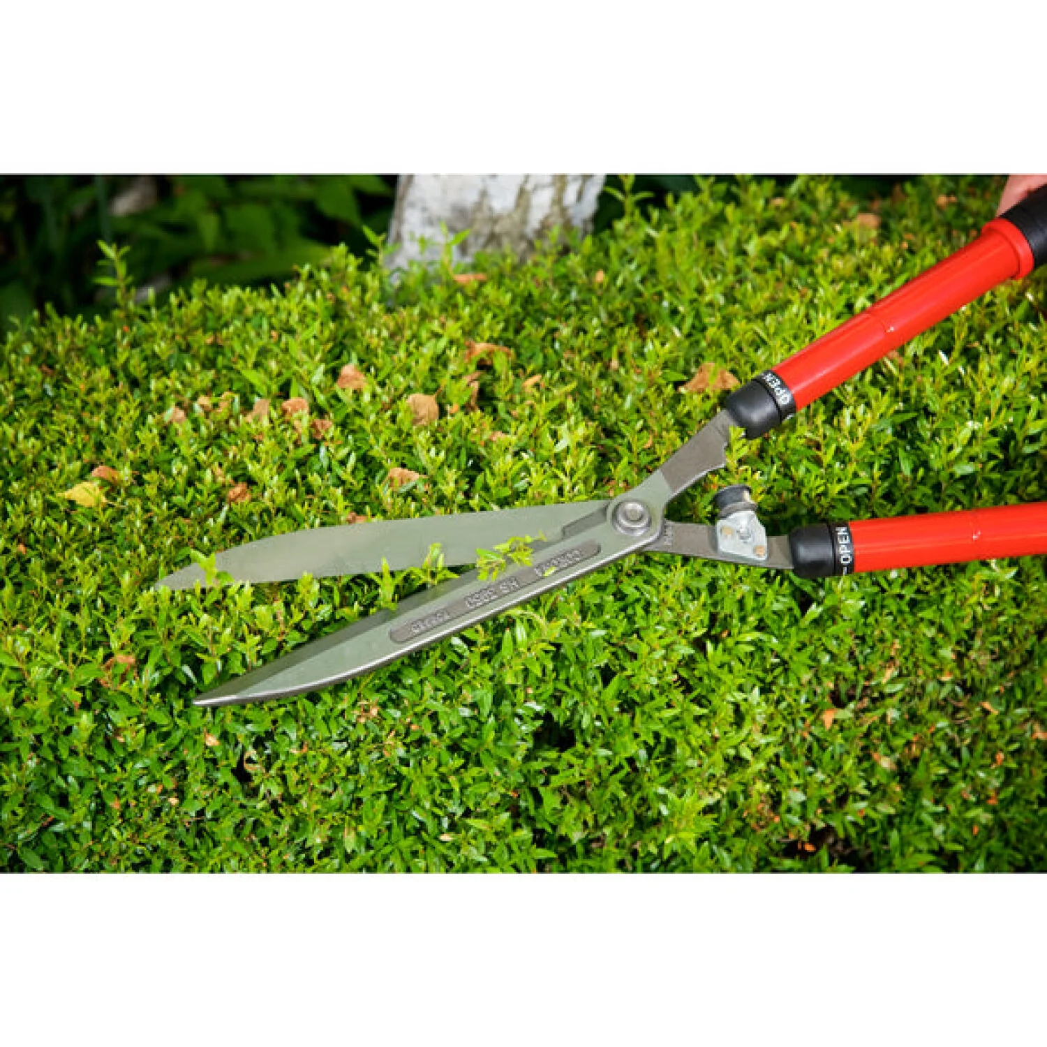 Corona HS 3950 ExtendableREACH Hedge Shears - 10 Inch - Image 10