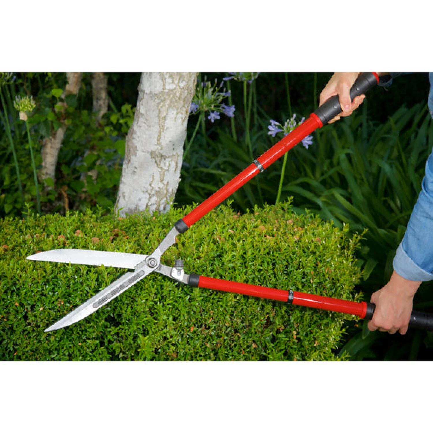 Corona HS 3950 ExtendableREACH Hedge Shears - 10 Inch - Image 5