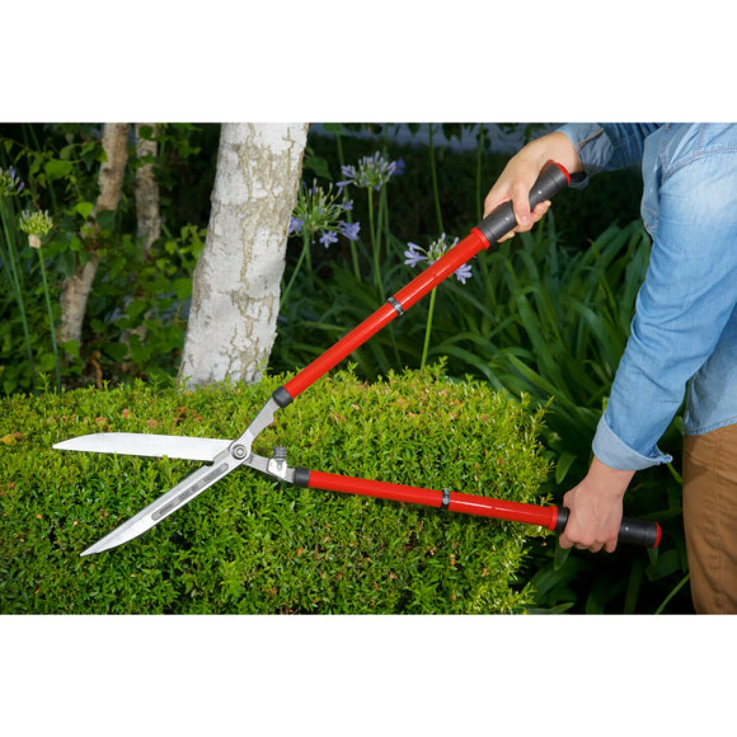 Corona HS 3950 ExtendableREACH Hedge Shears - 10 Inch - Image 9