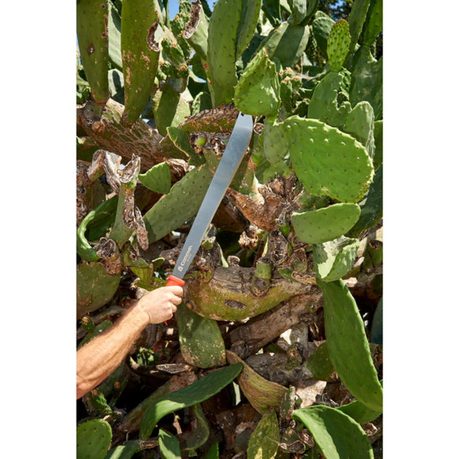 Corona MA 60061 Machete - 18 Inch - Image 6