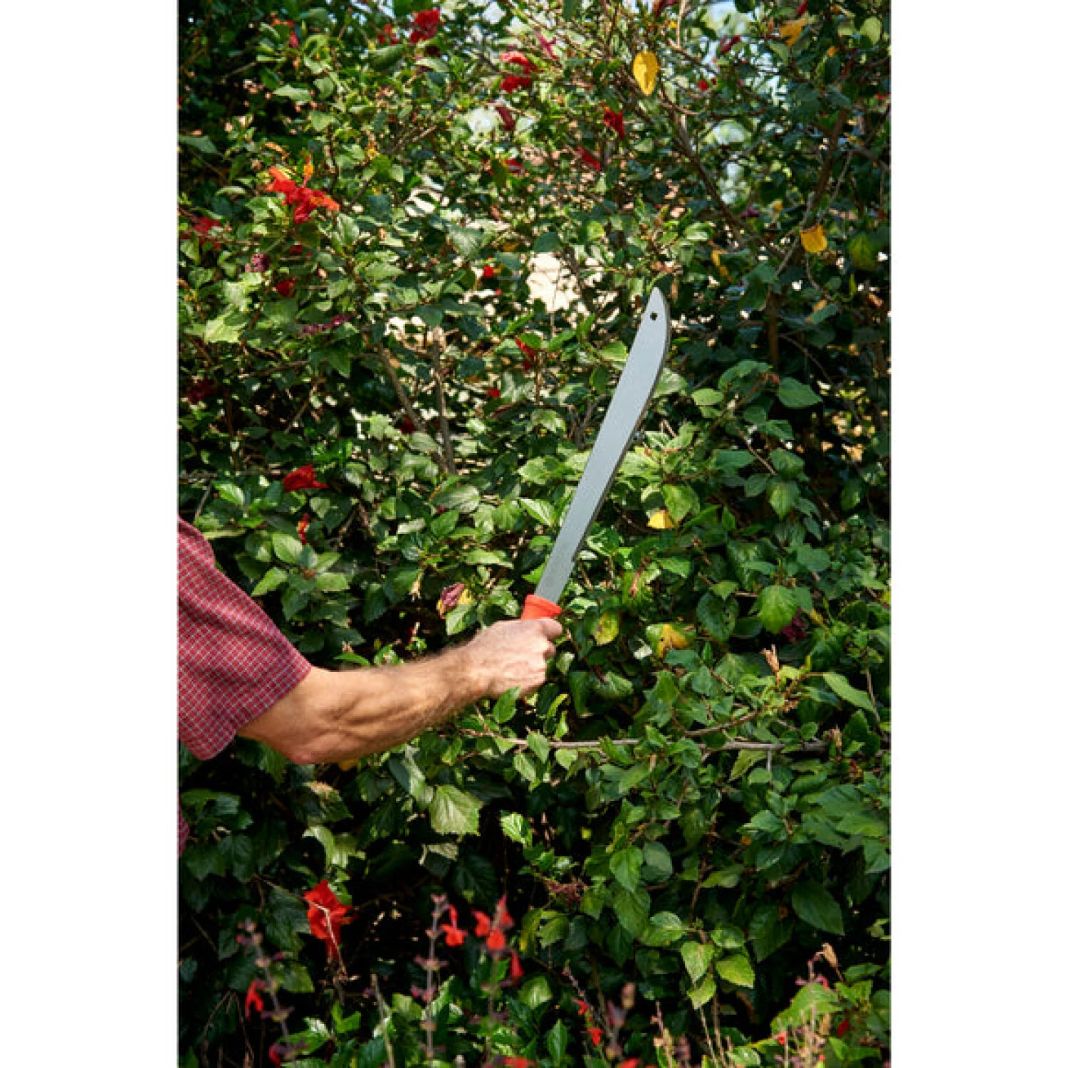Corona MA 60061 Machete - 18 Inch - Image 7