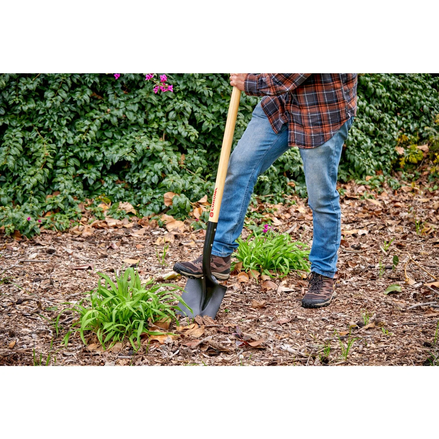 Corona SS 26000 Round Point Shovel, 15-Gauge, 12. in Head, 48 in. Wood Handle - Image 2