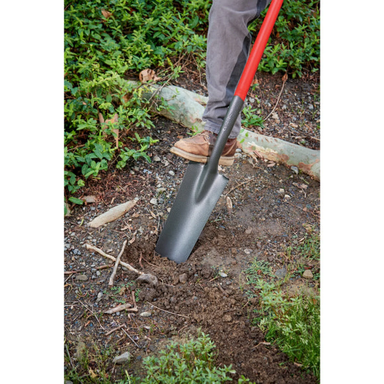 CORONA-SS 62020 · Closed-Back Drain Spade - 16 Inch - Image 5