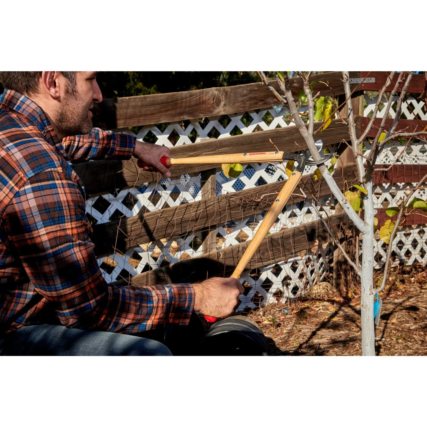 Corona WL 3351 Wooden Handle Bypass Lopper, 26 in. 1-1/2 in. Cut Capacity - Image 11
