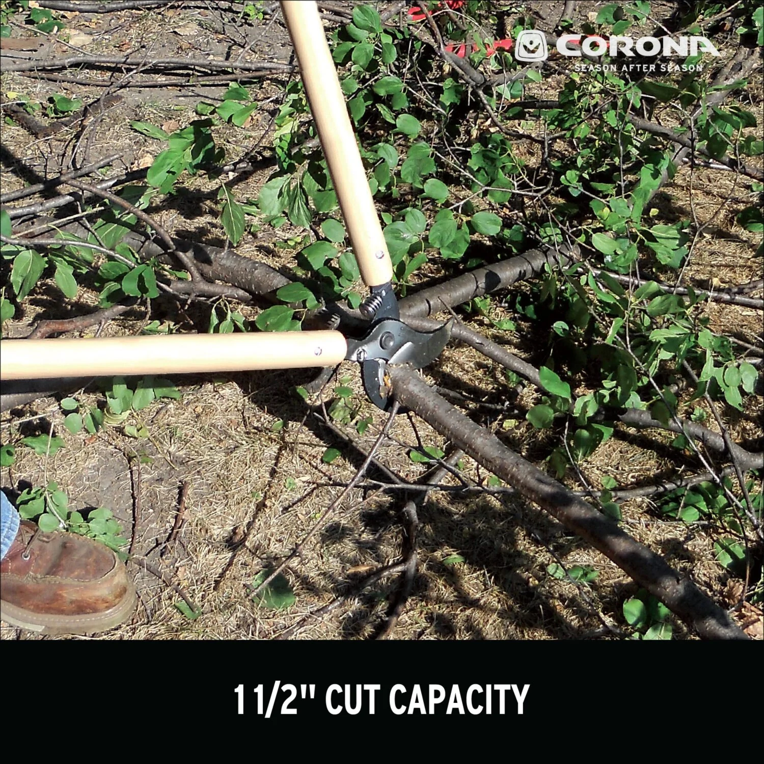 Corona WL 3351 Wooden Handle Bypass Lopper, 26 in. 1-1/2 in. Cut Capacity - Image 13