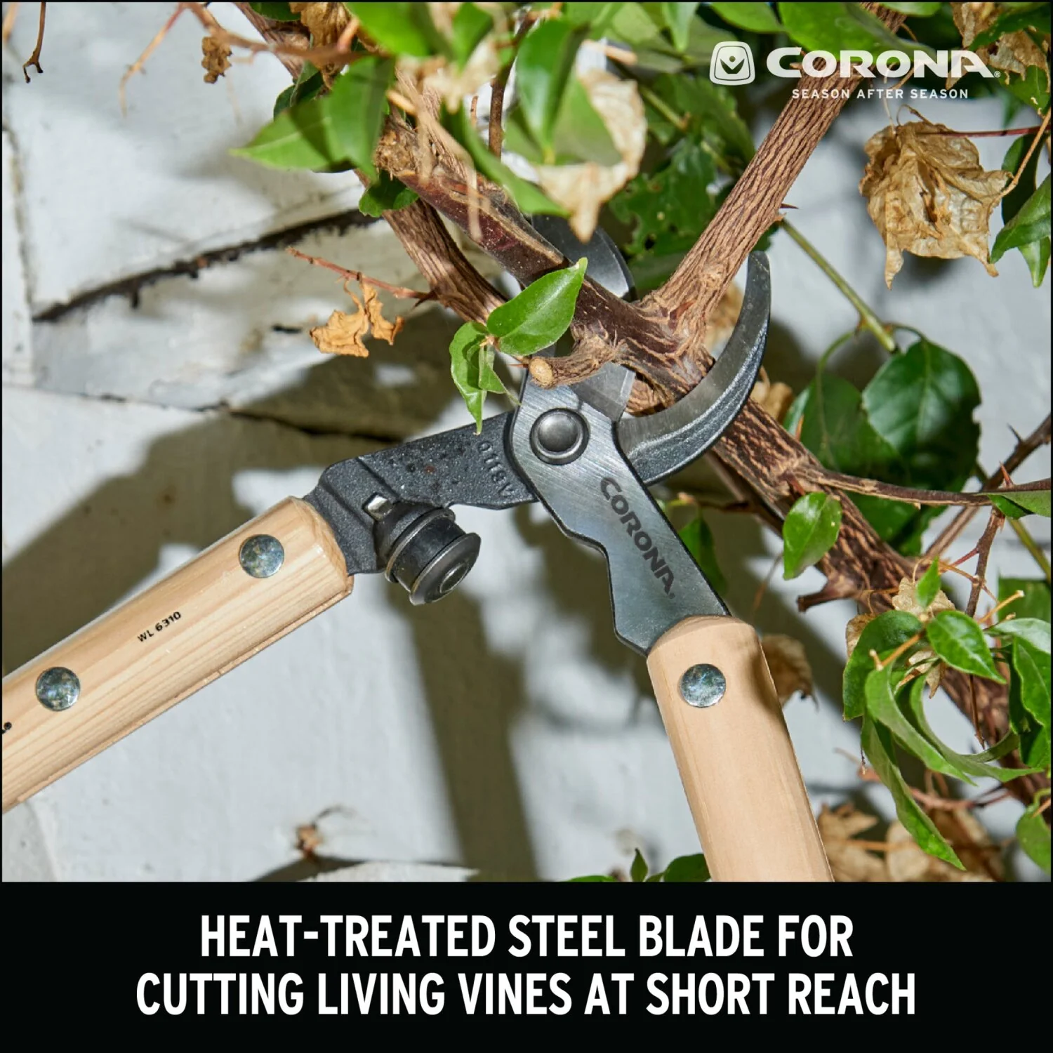 Corona WL 6310 Hickory Handle ClassicCUT Bypass Vine Lopper, 20 in., 1-1/4 in. Cut Capacity - Image 8