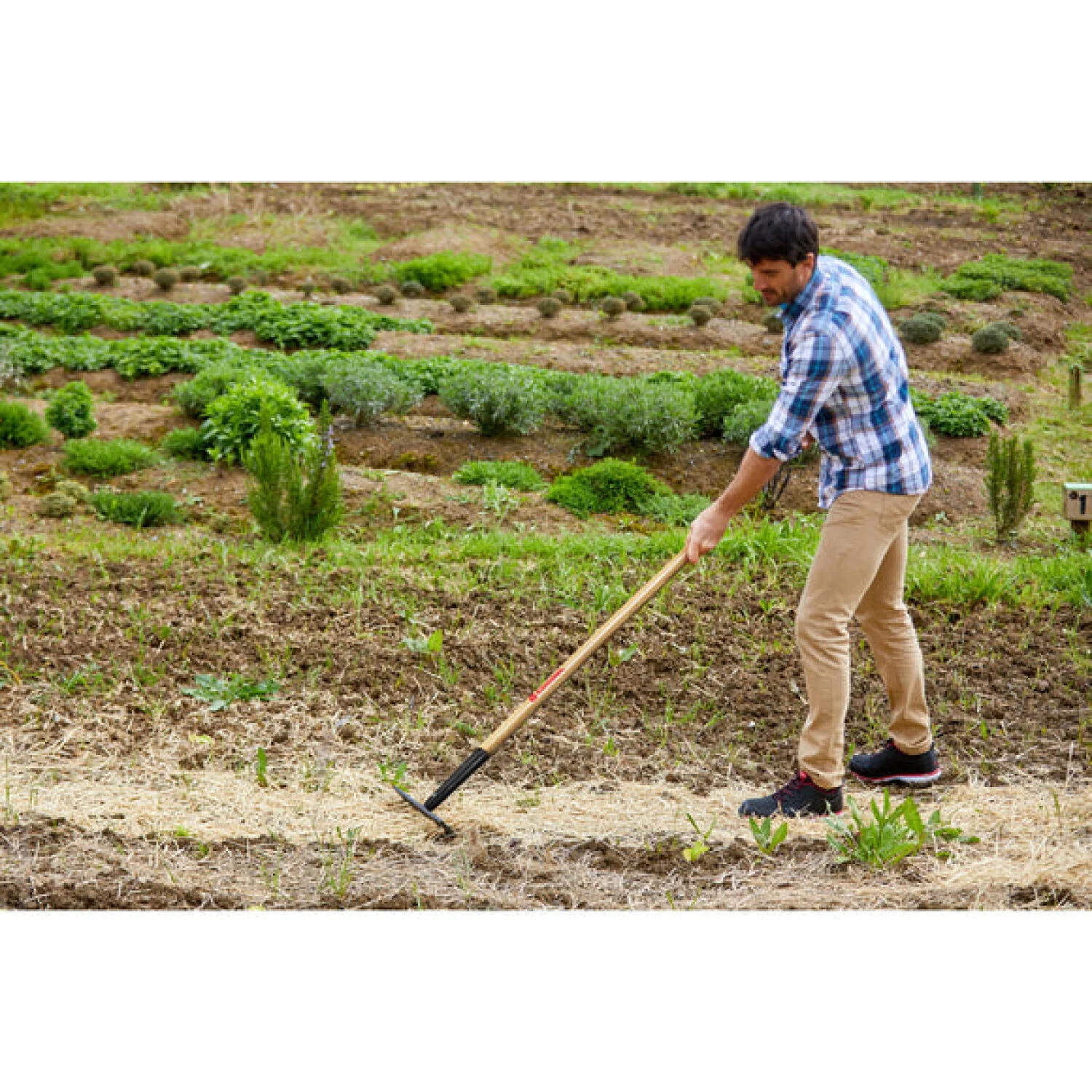 Corona-RK 64002 · Level Head Rake - 16 Inch/16 Tines - Image 2