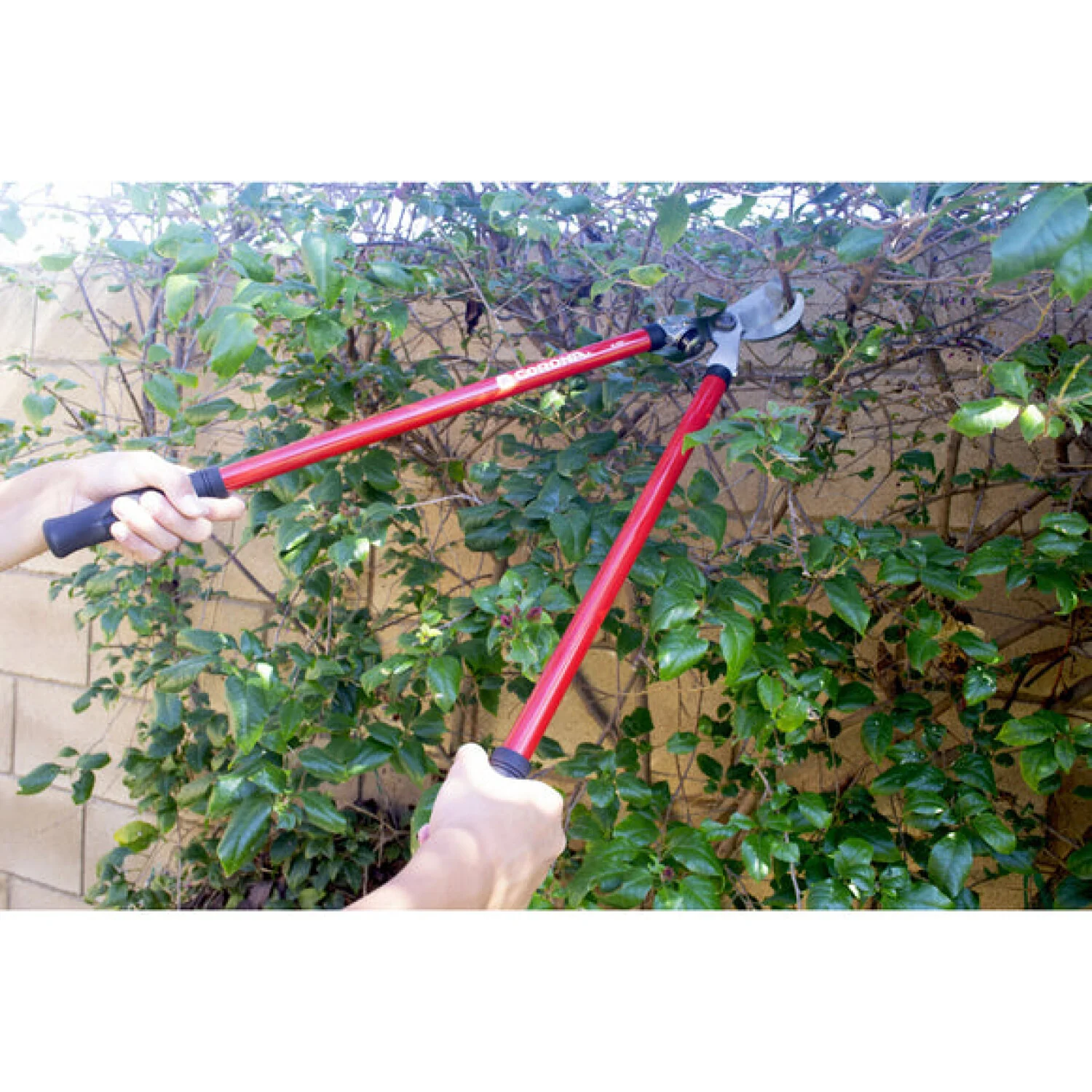 Corona SP10001 · Lopper + Pruner Bonus Pack - Image 2